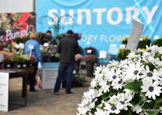 The booth of Suntory at Grolink. 